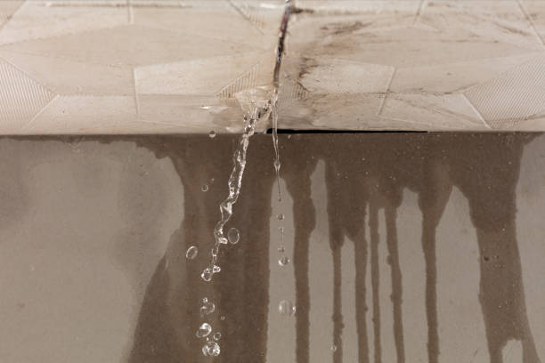 Professional Water Extraction technician working in Pinola, MS